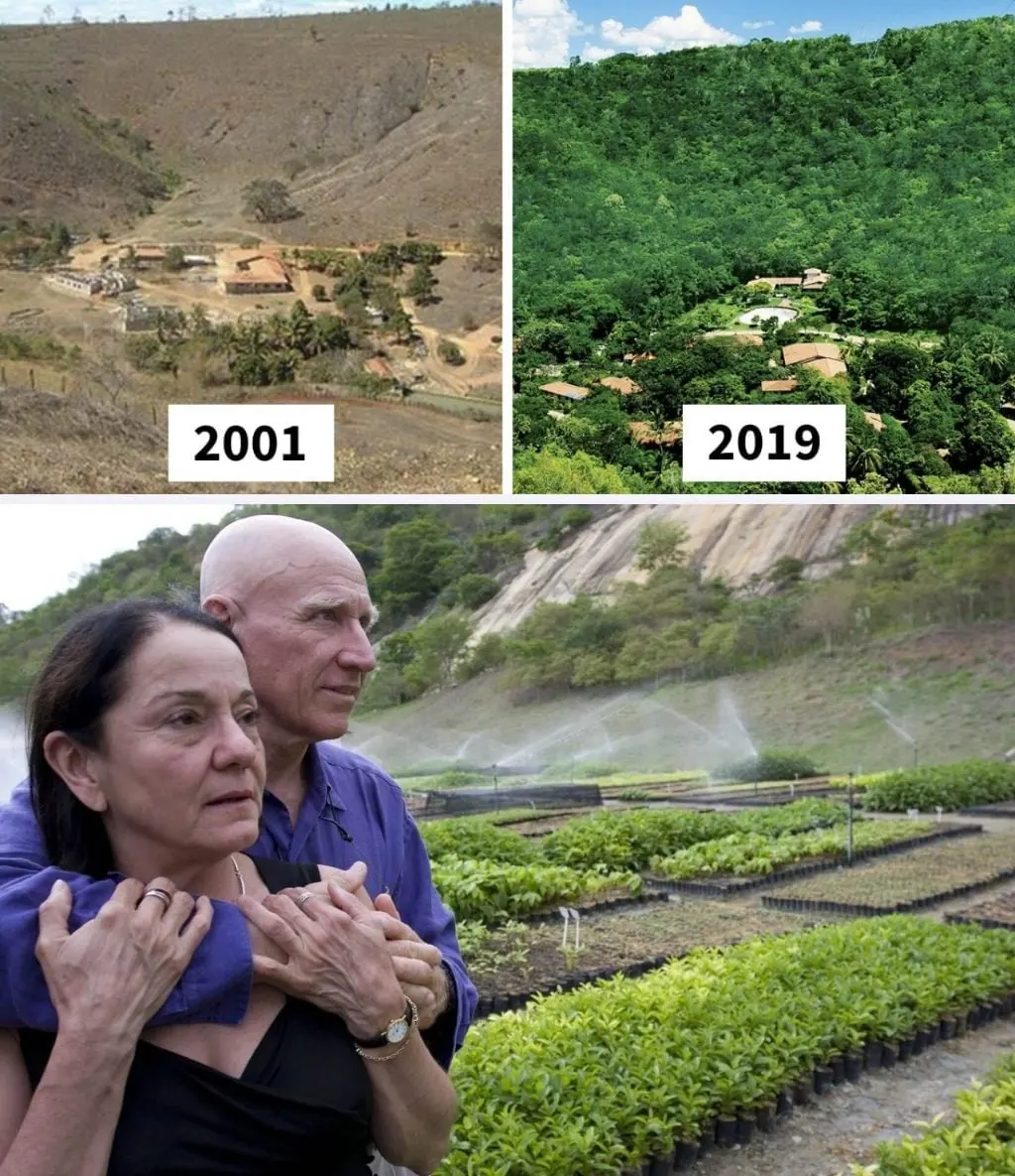 Brazilski par je u 20 godina zasadio 6 milijuna stabala i pretvorio 'pustinje' u prašume