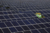 Indijska država pristala nabaviti 1 GW solarne energije iz više fotonaponskih projekata